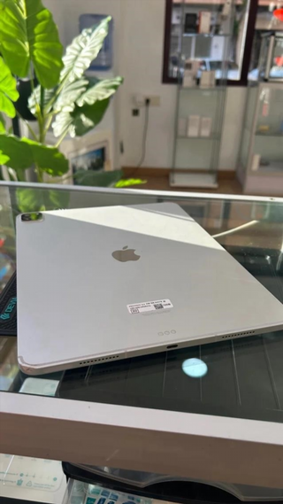 iPad Pro 12.9 5ª Gen 256GB WiFi + LTE Argento