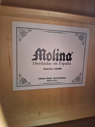 Guitarra Acústica hibrida  Ashton Music Internacio