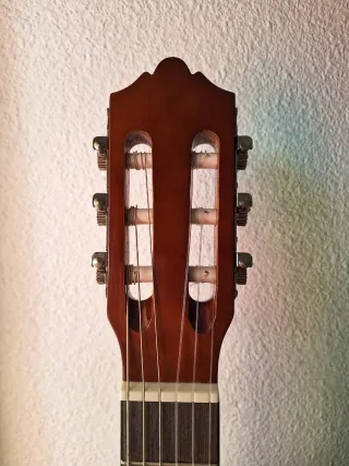 Guitarra Acústica hibrida  Ashton Music Internacio