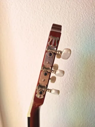 Guitarra Acústica hibrida  Ashton Music Internacio