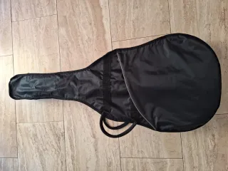 Guitarra Acústica hibrida  Ashton Music Internacio