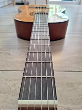 Guitarra Acústica hibrida  Ashton Music Internacio