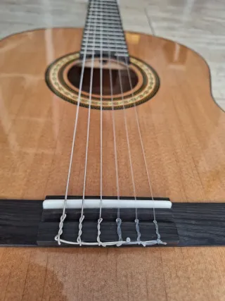 Guitarra Acústica hibrida  Ashton Music Internacio