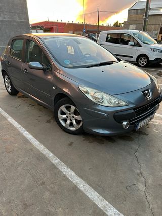 Peugeot 307 Xs