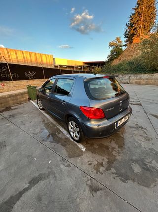 Peugeot 307 Xs
