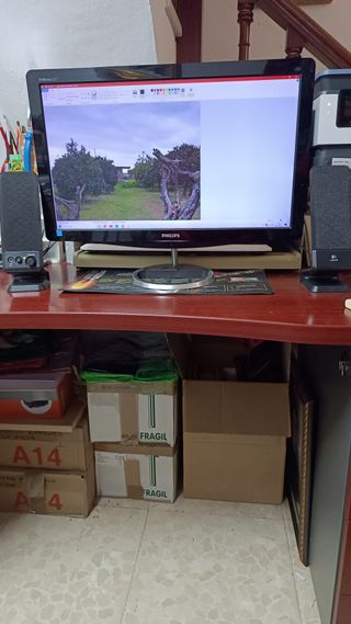 Monitor Philips 22 Negro