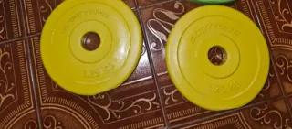 Discos de Pesas Bodytone 1.25 kg (2 unidades)