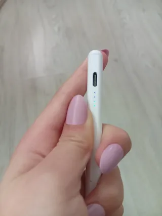 Lápiz Pen Apple para iPad Sólo efectivo