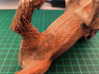 Set 2 leone e tigre giocattolo plastica