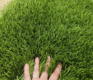 Césped artificial reciclado