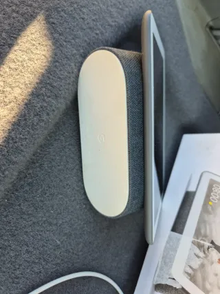 Google Nest Hub assistente vocale