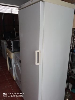 Congelador Vertical Zanussi
