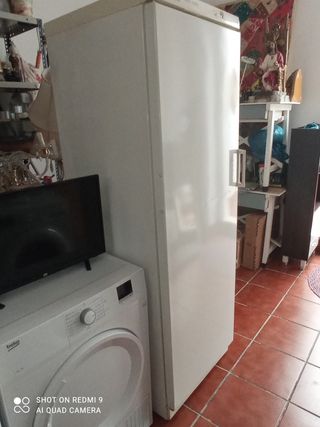Congelador Vertical Zanussi