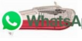 PILOTO ANTINIEBLA PARAGOLPES TRASERO DERECHO FIAT