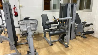 Máquina femoral sentado Matrix