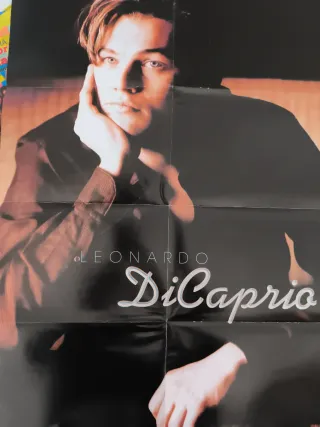 Póster Leonardo DiCaprio