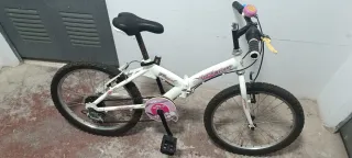 Bicicleta niña Young Driver 20 pulgadas