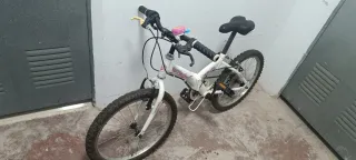 Bicicleta niña Young Driver 20 pulgadas