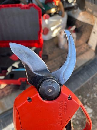 Tijeras Poda Bellota