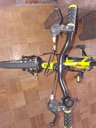 Bicicleta infantil 16 con ruedines