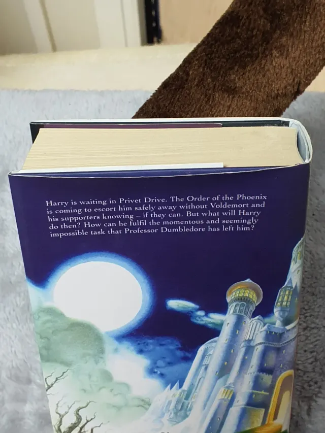 Harry Potter and the Deatbly Hallows