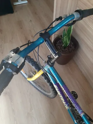 Bicicleta infantil Suntrack 24 pulgadas