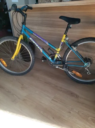 Bicicleta infantil Suntrack 24 pulgadas