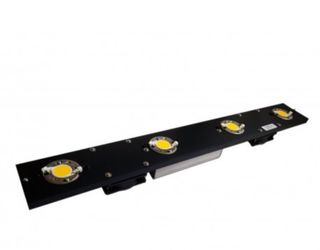 Kit de cultivo blanco