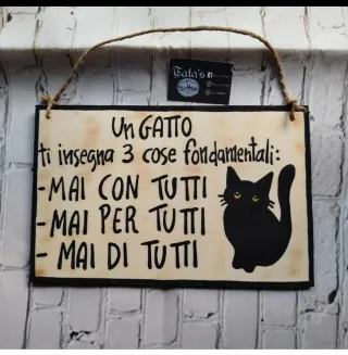 Targhetta decorativa Un Gatto