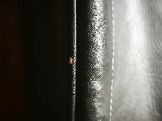 Bolso verde mujer vintage