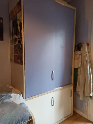 Cama nido juvenil con armario