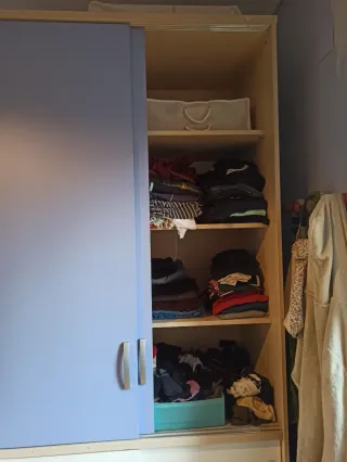 Cama nido juvenil con armario