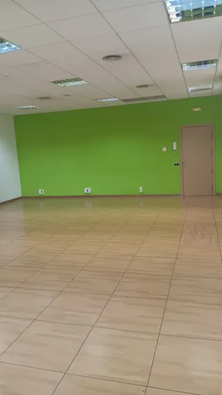 Oficina con pared verde