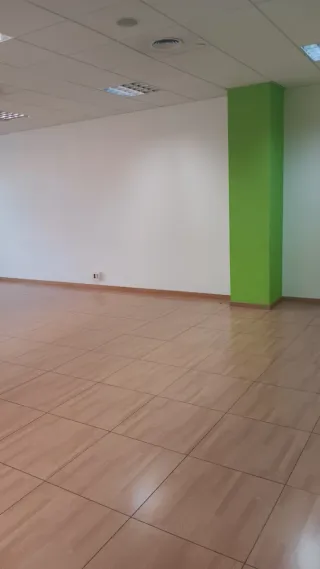 Oficina con pared verde