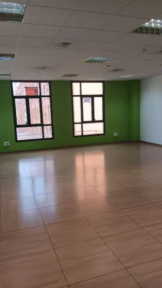 Oficina con pared verde