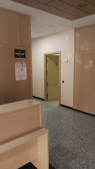 Oficina con pared verde