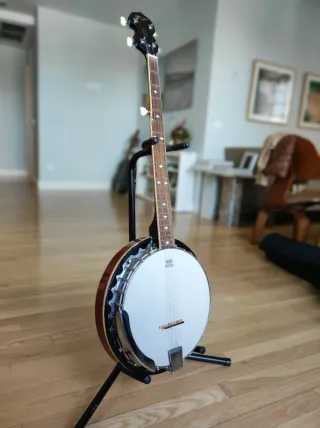 Banjo Johnny Guitars