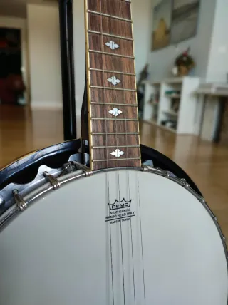 Banjo Johnny Guitars