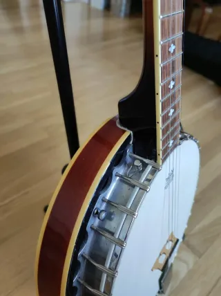 Banjo Johnny Guitars