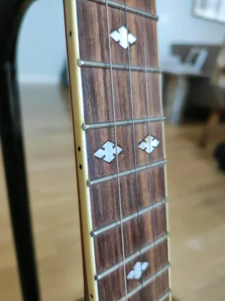 Banjo Johnny Guitars