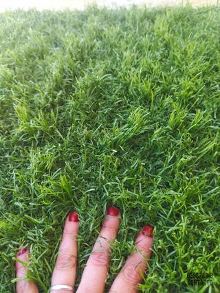 Césped artificial reciclado