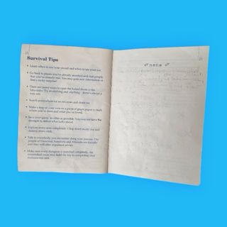 Golden Axe Warrior / Master System