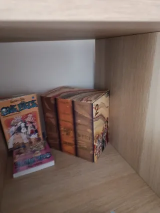 Mangas one piece con caja y fundas