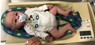 Muñeca Reborn toda silicona con carrito y capota