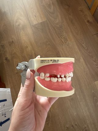 Tipodonto Nissin Adulto e Infantil