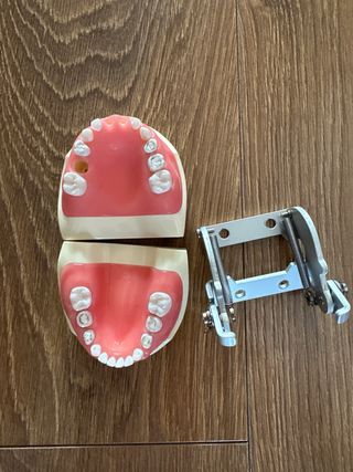 Tipodonto Nissin Adulto e Infantil