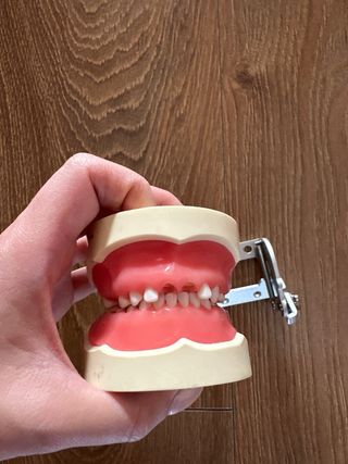 Tipodonto Nissin Adulto e Infantil