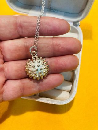 Colgante plata con cadena y joyero