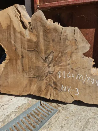 Rodajas de raíz de Nogal español