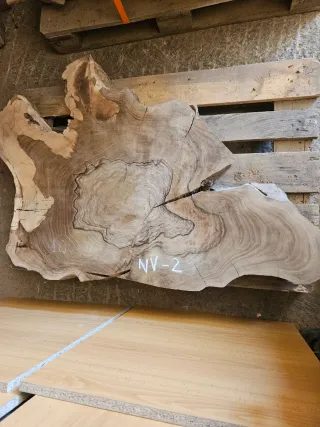 Rodajas de raíz de Nogal español